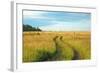 View of Pasture in Northern Russian Village with Earth Road-svic-Framed Photographic Print