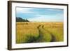 View of Pasture in Northern Russian Village with Earth Road-svic-Framed Photographic Print