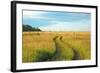 View of Pasture in Northern Russian Village with Earth Road-svic-Framed Photographic Print