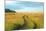 View of Pasture in Northern Russian Village with Earth Road-svic-Mounted Photographic Print