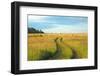 View of Pasture in Northern Russian Village with Earth Road-svic-Framed Photographic Print