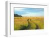 View of Pasture in Northern Russian Village with Earth Road-svic-Framed Photographic Print