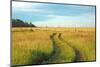 View of Pasture in Northern Russian Village with Earth Road-svic-Mounted Photographic Print