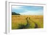 View of Pasture in Northern Russian Village with Earth Road-svic-Framed Photographic Print