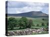 View of Pen-Y-Ghent, Ribblesdale, Yorkshire, England, United Kingdom-Jean Brooks-Stretched Canvas