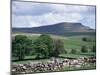 View of Pen-Y-Ghent, Ribblesdale, Yorkshire, England, United Kingdom-Jean Brooks-Mounted Photographic Print