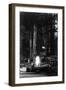 View of People Around Bonfire and Portrait - Bohemian Grove, CA-Lantern Press-Framed Art Print