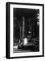 View of People Around Bonfire and Portrait - Bohemian Grove, CA-Lantern Press-Framed Art Print