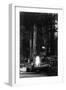 View of People Around Bonfire and Portrait - Bohemian Grove, CA-Lantern Press-Framed Art Print