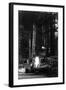 View of People Around Bonfire and Portrait - Bohemian Grove, CA-Lantern Press-Framed Art Print