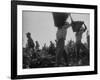 View of People Picking Grapes During Harvest-null-Framed Photographic Print