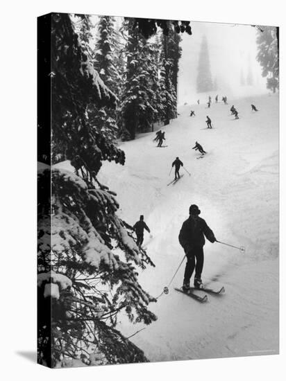 View of People Skiing at Steven's Pass-Ralph Crane-Stretched Canvas