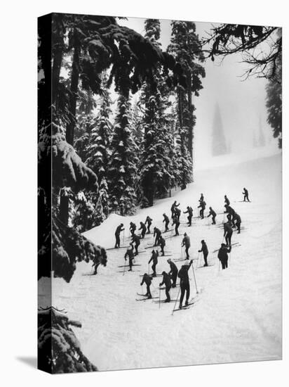 View of People Skiing at Steven's Pass-Ralph Crane-Stretched Canvas