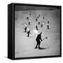 View of People Skiing at Steven's Pass-Ralph Crane-Framed Stretched Canvas