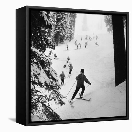 View of People Skiing at Steven's Pass-Ralph Crane-Framed Stretched Canvas