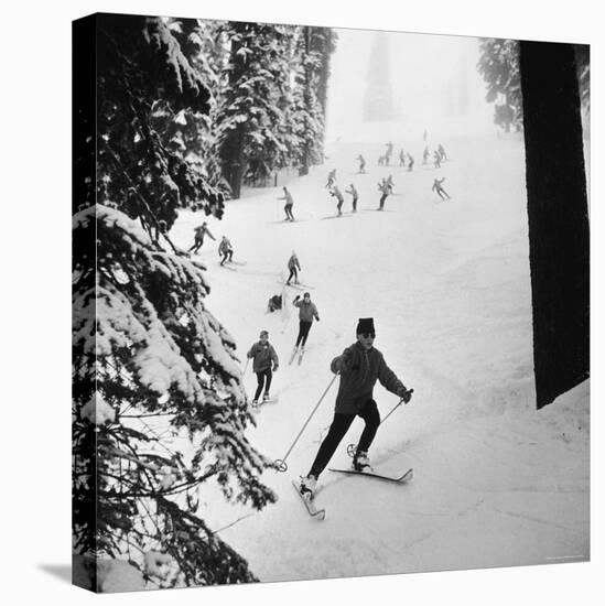 View of People Skiing at Steven's Pass-Ralph Crane-Stretched Canvas