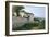 View of Piagentina, 1863-Silvestro Lega-Framed Giclee Print