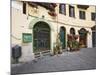 View of Piazza Anfiteatro, Lucca, Italy-Dennis Flaherty-Mounted Photographic Print