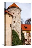 View of Pieskowa Skala Castle and Garden, Medieval Building near Krakow, Poland-Curioso Travel Photography-Stretched Canvas