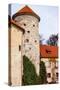 View of Pieskowa Skala Castle and Garden, Medieval Building near Krakow, Poland-Curioso Travel Photography-Stretched Canvas