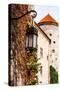 View of Pieskowa Skala Castle and Garden, Medieval Building near Krakow, Poland-Curioso Travel Photography-Stretched Canvas