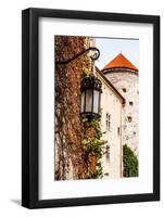 View of Pieskowa Skala Castle and Garden, Medieval Building near Krakow, Poland-Curioso Travel Photography-Framed Photographic Print