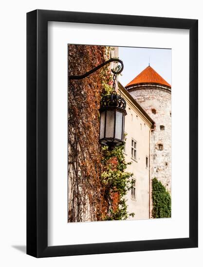 View of Pieskowa Skala Castle and Garden, Medieval Building near Krakow, Poland-Curioso Travel Photography-Framed Photographic Print