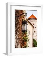 View of Pieskowa Skala Castle and Garden, Medieval Building near Krakow, Poland-Curioso Travel Photography-Framed Photographic Print