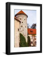 View of Pieskowa Skala Castle and Garden, Medieval Building near Krakow, Poland-Curioso Travel Photography-Framed Photographic Print