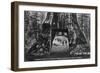 View of Pioneers Cabin, Men on Horseback - Calaveras County, CA-Lantern Press-Framed Art Print