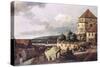 View of Pirna-Canaletto-Stretched Canvas