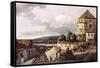 View of Pirna-Canaletto-Framed Stretched Canvas