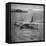 View of Plane Designed and Built by Howard R. Hughes-J^ R^ Eyerman-Framed Stretched Canvas