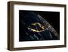 View of planet Earth from space showing night time over Cuba and Florida-null-Framed Photographic Print