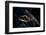 View of planet Earth from space showing night time over Cuba and Florida-null-Framed Photographic Print