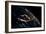 View of planet Earth from space showing night time over Cuba and Florida-null-Framed Photographic Print