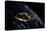 View of planet Earth from space showing night time over Cuba and Florida-null-Stretched Canvas