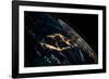 View of planet Earth from space showing night time over Cuba and Florida-null-Framed Photographic Print