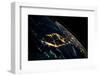 View of planet Earth from space showing night time over Cuba and Florida-null-Framed Premium Photographic Print
