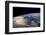 View of planet Earth from space showing North America near Nova Scotia, Canada-null-Framed Photographic Print