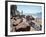 View of Playa Gaviotas at the El Cid Resort, Mazatlan, Mexico-Charles Sleicher-Framed Photographic Print