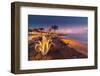 View of Playa Grande at dusk, Puerto Carmen, Lanzarote, Las Palmas-Frank Fell-Framed Photographic Print