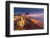 View of Playa Grande at dusk, Puerto Carmen, Lanzarote, Las Palmas-Frank Fell-Framed Photographic Print