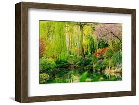 View of pond in garden, Butchart Gardens, Vancouver Island, British Columbia, Canada-Pete Saloutos-Framed Photographic Print