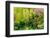 View of pond in garden, Butchart Gardens, Vancouver Island, British Columbia, Canada-Pete Saloutos-Framed Photographic Print