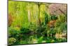 View of pond in garden, Butchart Gardens, Vancouver Island, British Columbia, Canada-Pete Saloutos-Mounted Photographic Print