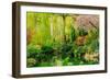 View of pond in garden, Butchart Gardens, Vancouver Island, British Columbia, Canada-Pete Saloutos-Framed Photographic Print