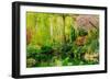 View of pond in garden, Butchart Gardens, Vancouver Island, British Columbia, Canada-Pete Saloutos-Framed Photographic Print