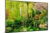 View of pond in garden, Butchart Gardens, Vancouver Island, British Columbia, Canada-Pete Saloutos-Mounted Photographic Print