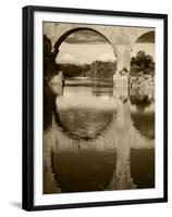 View of Pont Du Gard Bridge, Gardon River, Languedoc, France-David Barnes-Framed Premium Photographic Print